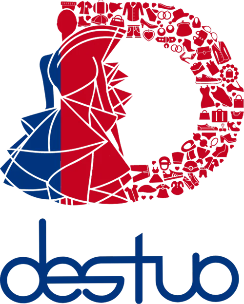 Destuo logo and visual identity